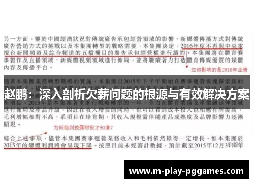 赵鹏：深入剖析欠薪问题的根源与有效解决方案